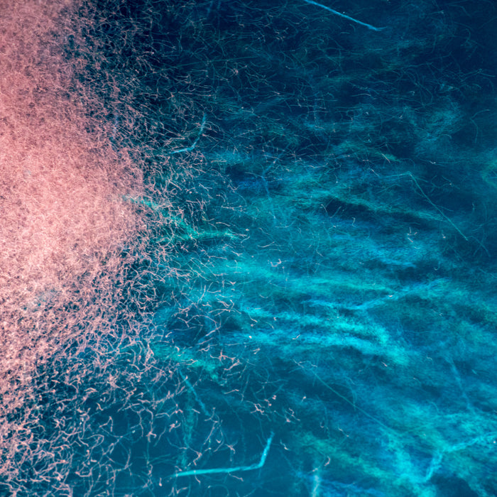 The Importance of Sustainable Krill Based Products