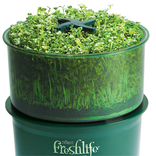 Freshlife 3000 Automatic Sprouter