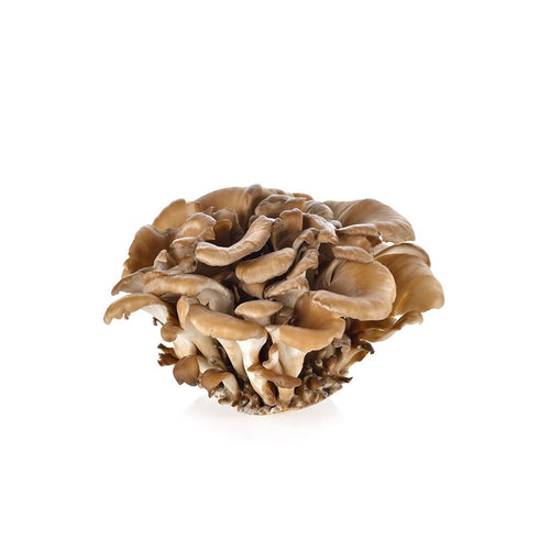 Irish Botanica Maitake Mushrooms
